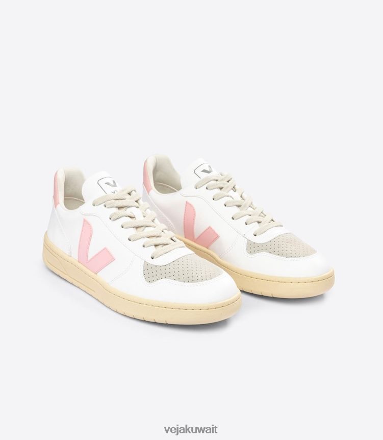 Veja أحذية رجالv-10 cwl البتلة البيضاء 24J26Z52